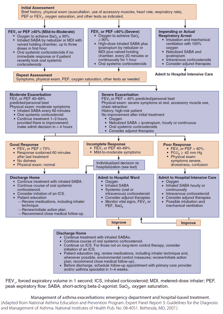 Management of asthma exacerbations