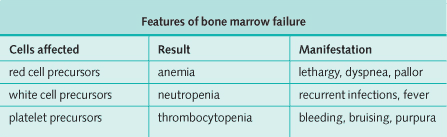 Features of bone marrow failure