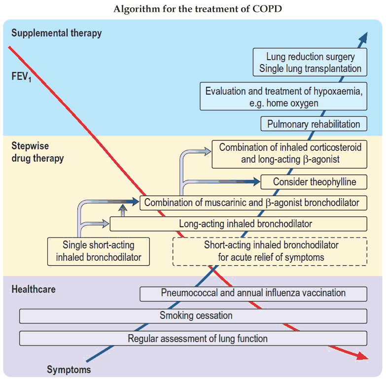 Algorithm for the treatment of COPD (Emphysema and Chronic bronchitis)