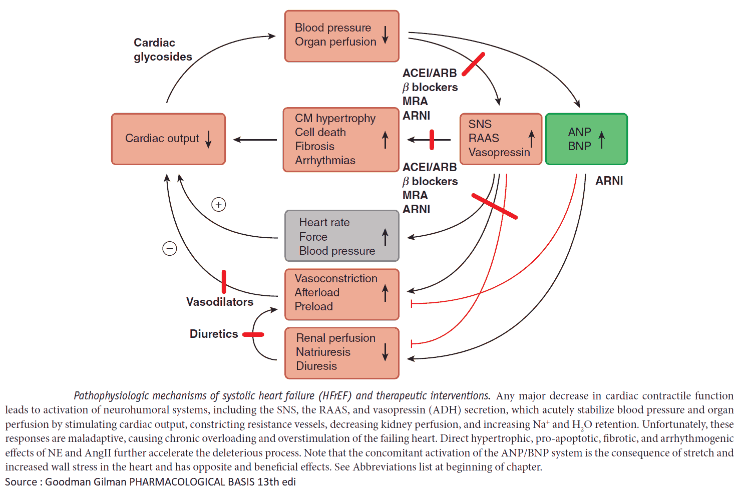 Pathophysiologic mechanisms of systolic heart failure (HFrEF) and therapeutic interventions