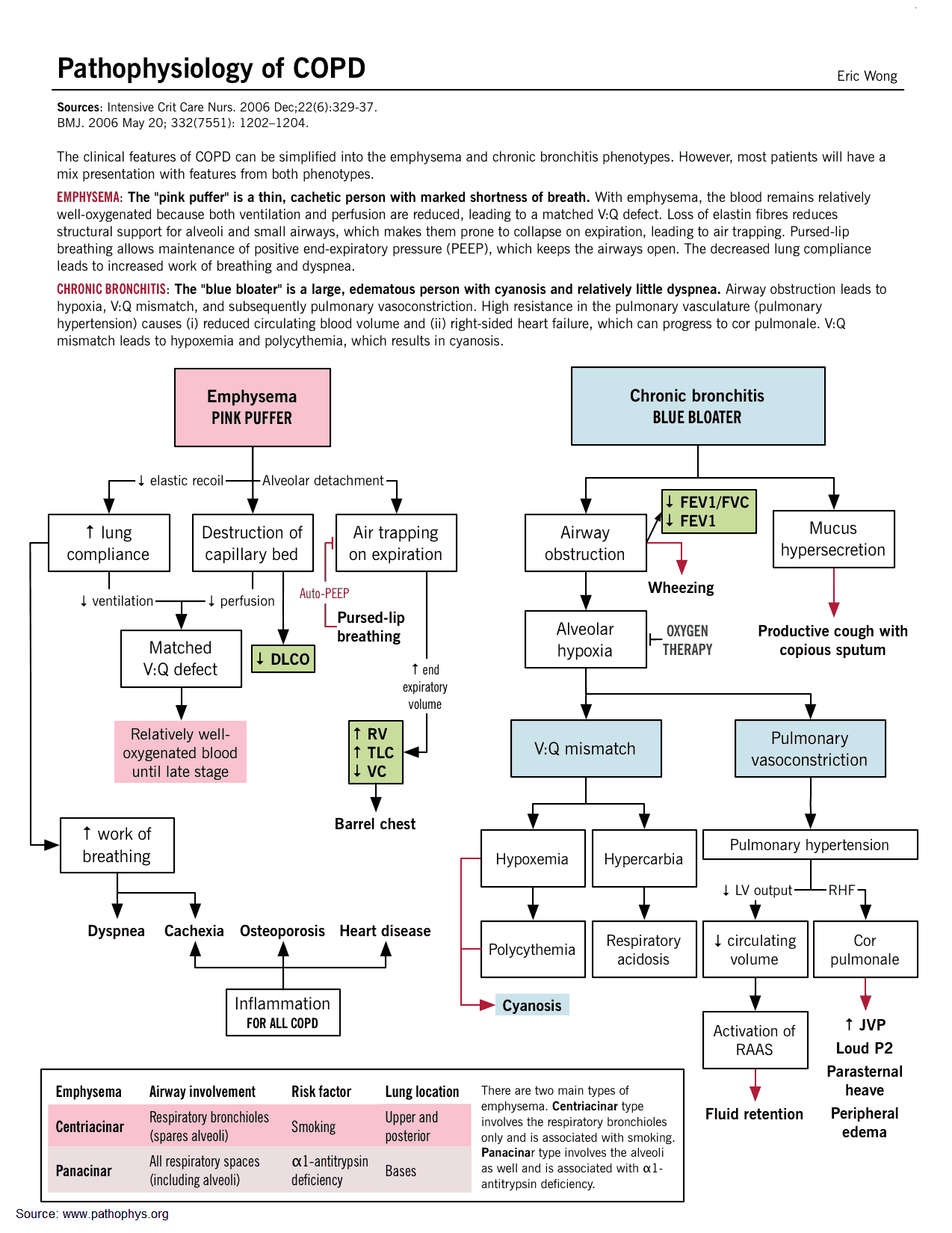 Pathophysiology of COPD (Emphysema and Chronic bronchitis)