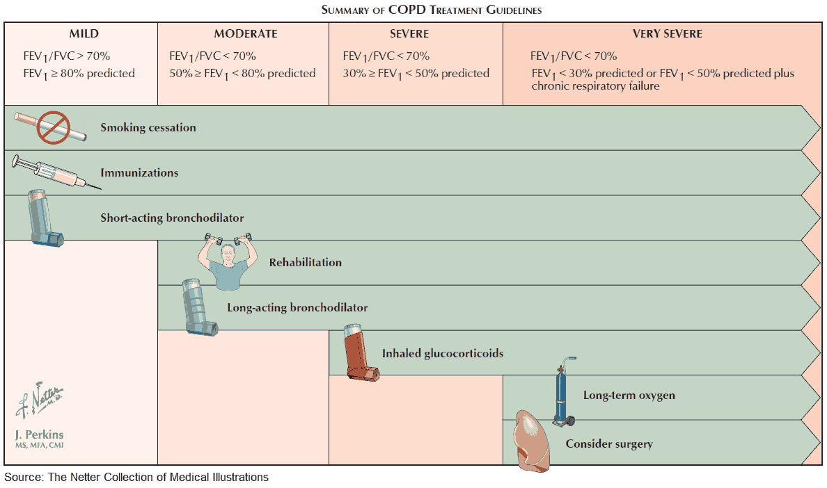 Summary of COPD (Emphysema and Chronic bronchitis) Treatment Guidelines