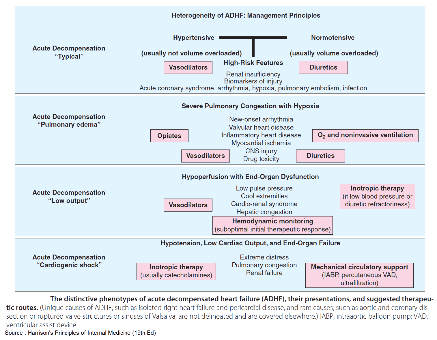 The distinctive phenotypes of acute decompensated heart failure (ADHF), their presentations, and suggested therapeutic