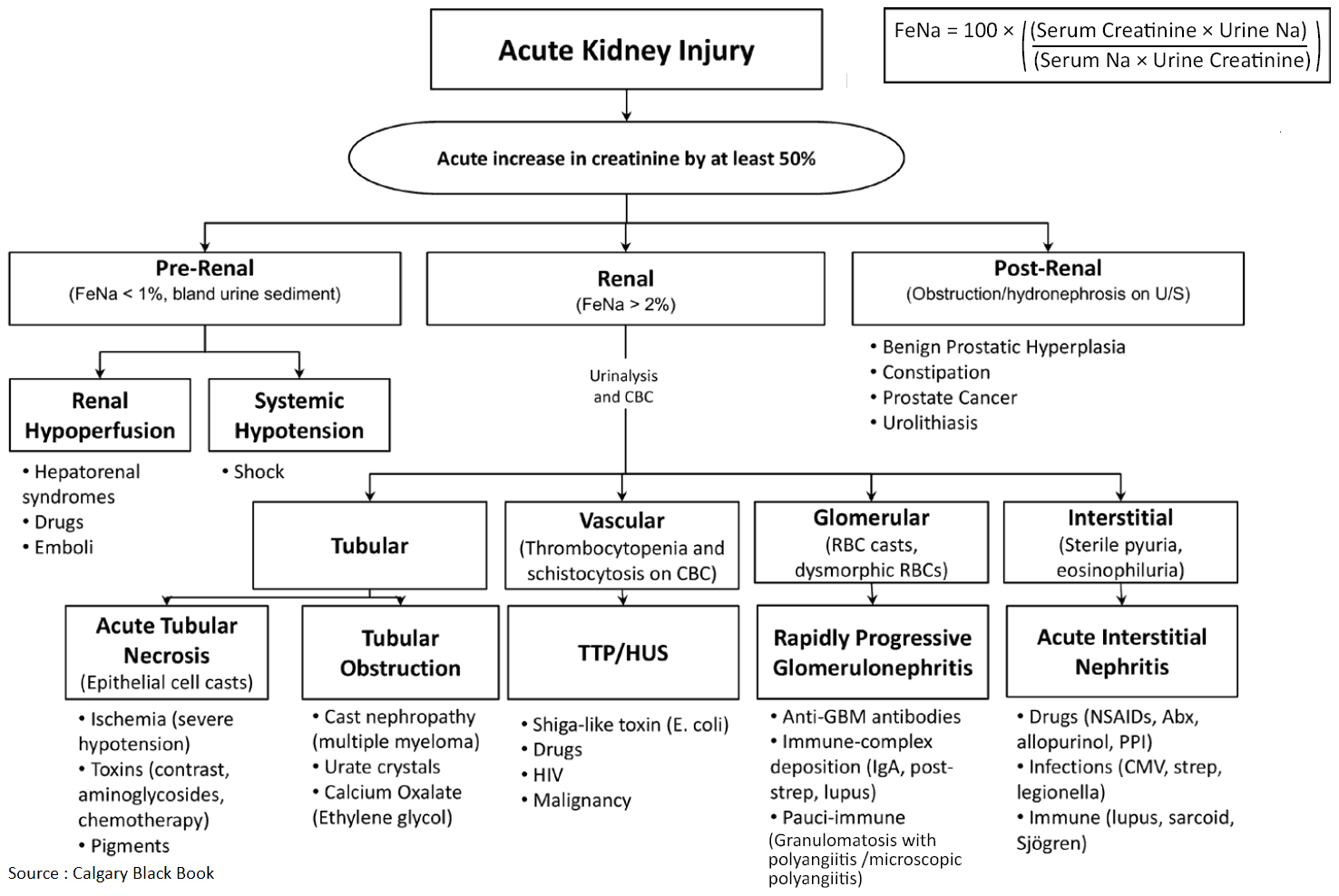 Acute Kidney Injury - Causes