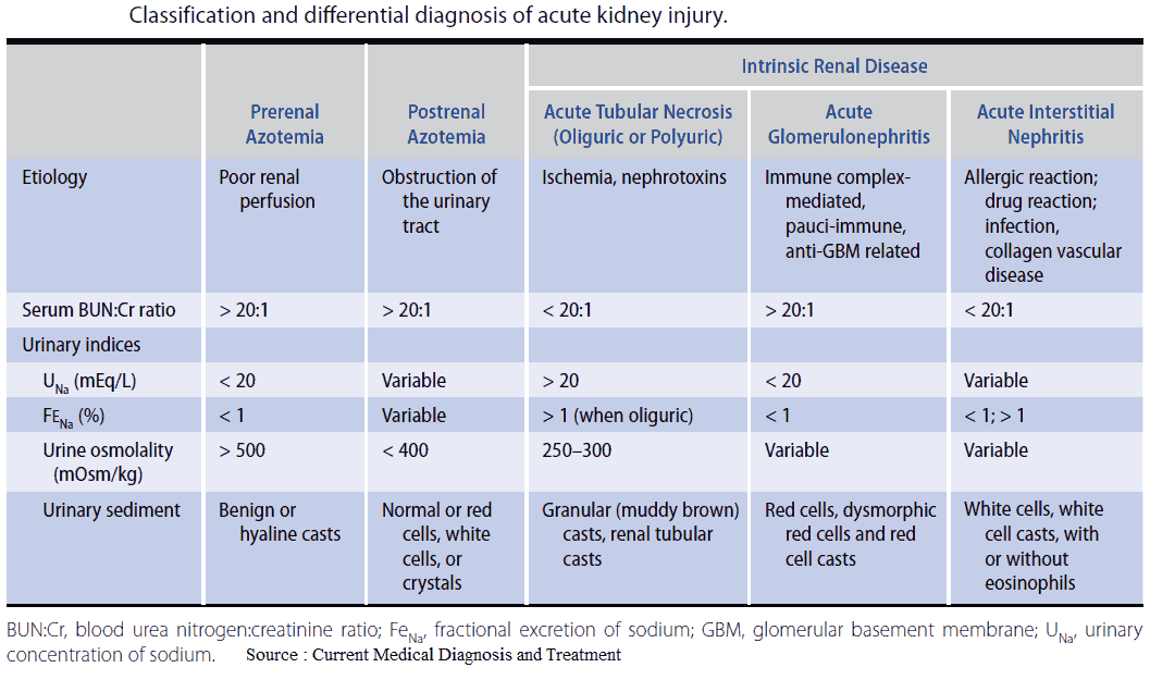 Classification and differential diagnosis of acute kidney injury