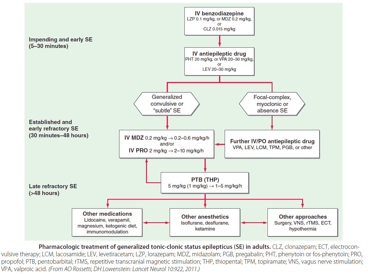 Pharmacologic treatment of status epilepticus (SE) in adults