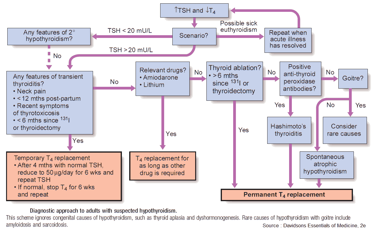 Diagnostic approach to adults with suspected hypothyroidism