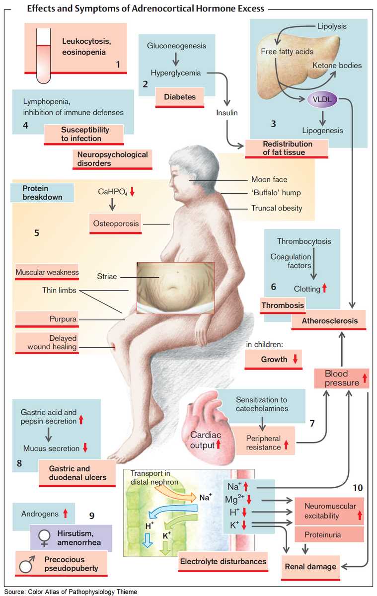 Effects, Symptoms and Signs of Cushing's Syndrome