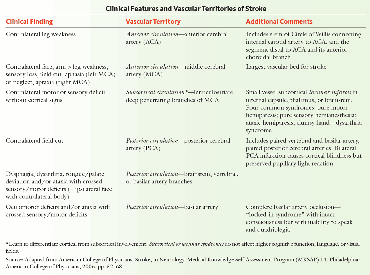 Clinical Features (Symptoms and Signs) and Vascular Territories of Stroke
