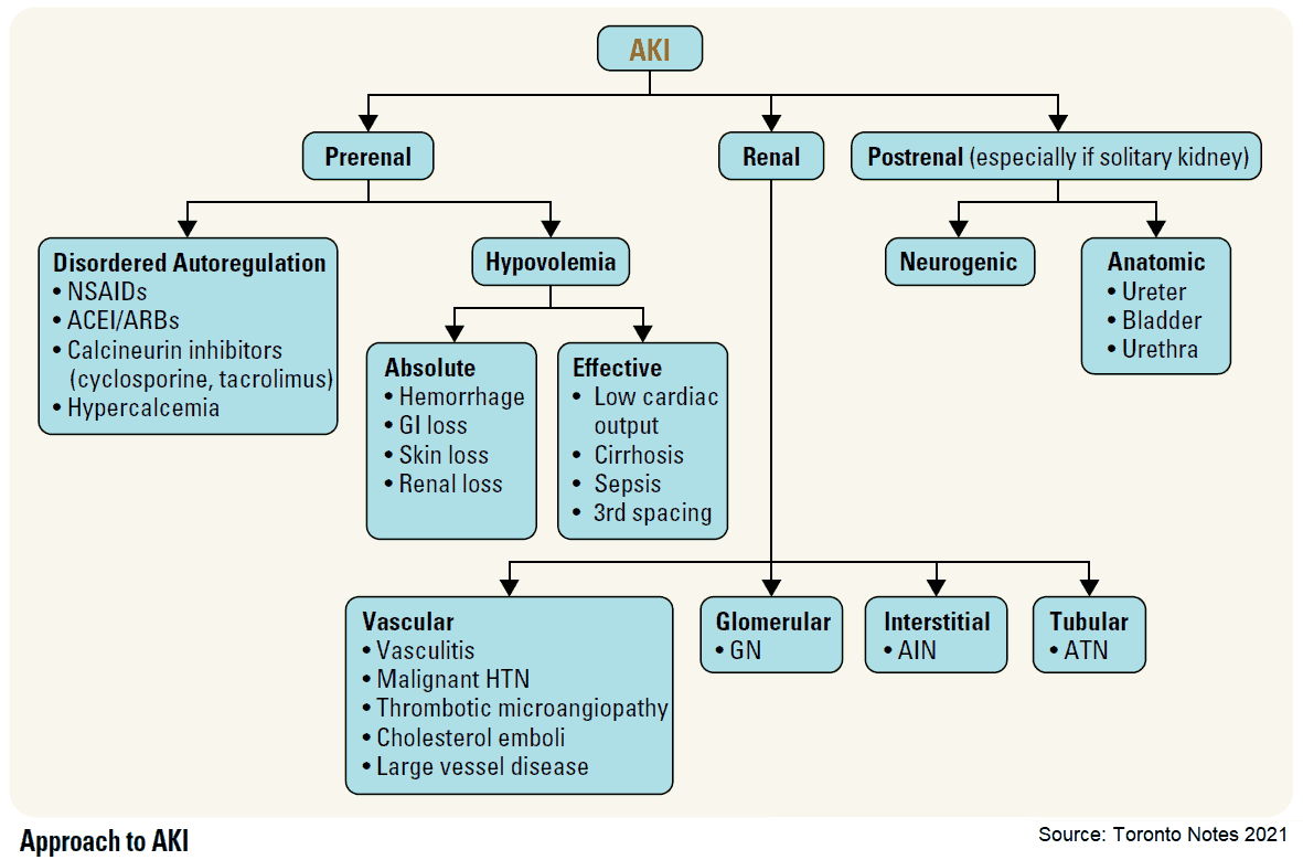 Causes and Approach to Acute Kidney Injury (AKI)