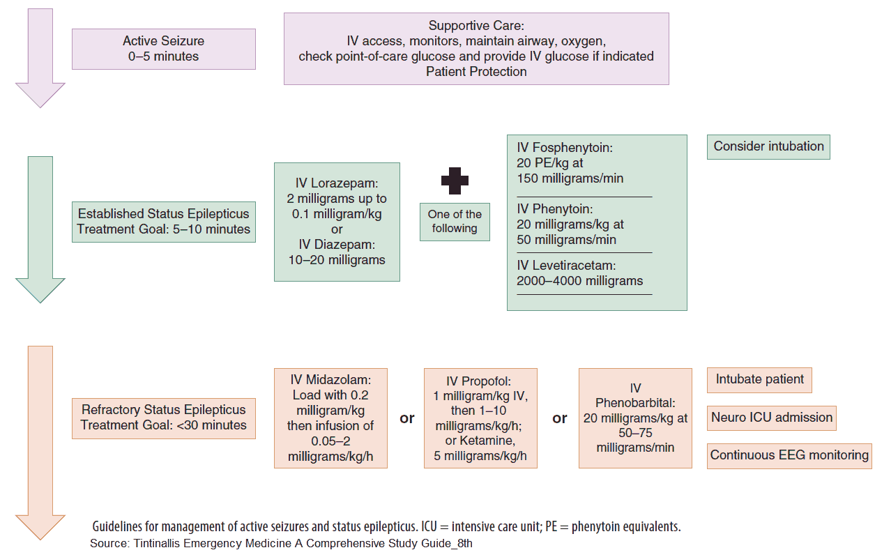 Guidelines for management of active seizures and status epilepticus