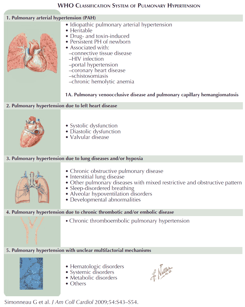 WHO Classification System of Pulmonary Hypertension
