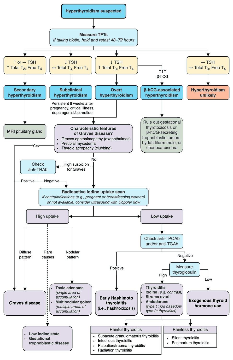 Diagnostic Algorithm and Approach to Hyperthyroidism
