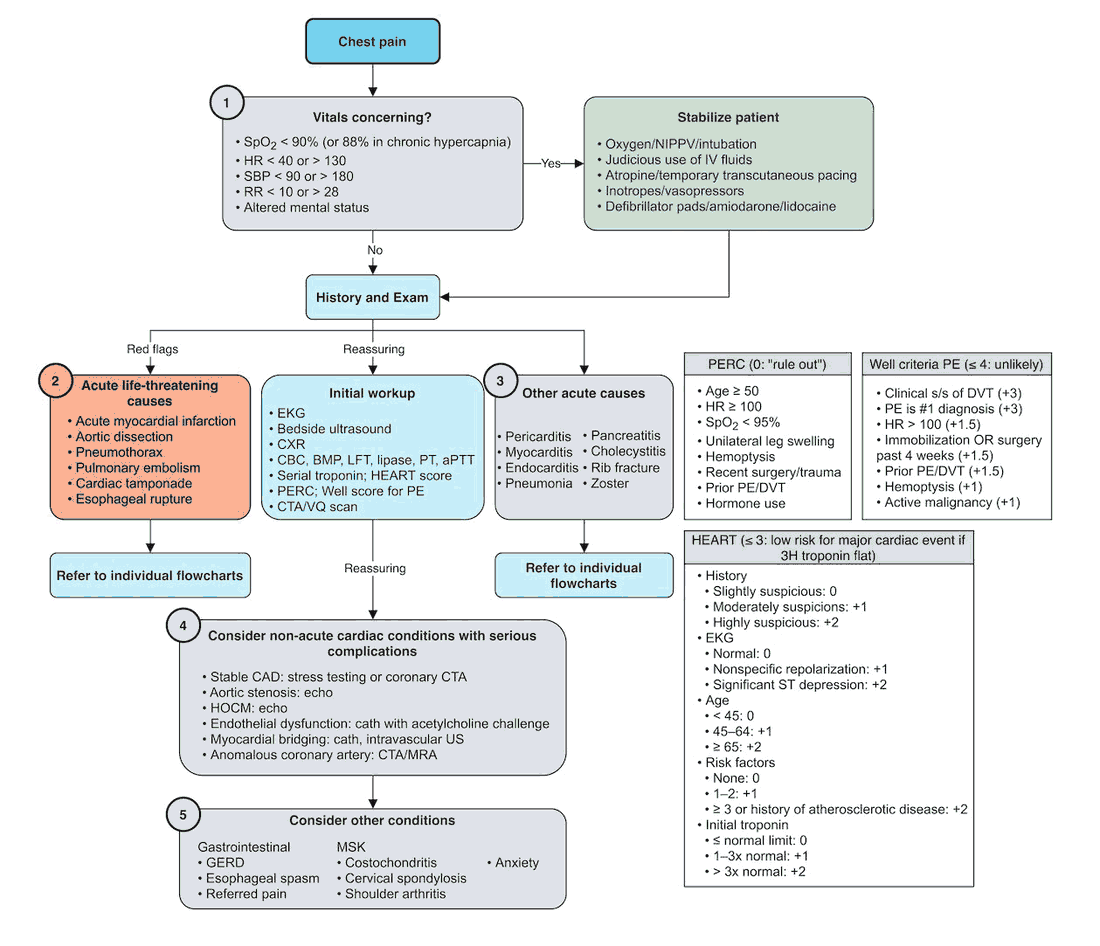 Chest Pain - Diagnostic Algorithm