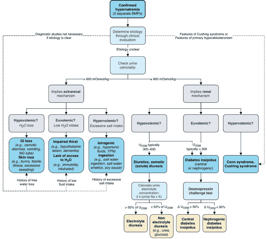 Hypernatremia - Diagnostic Algorithm