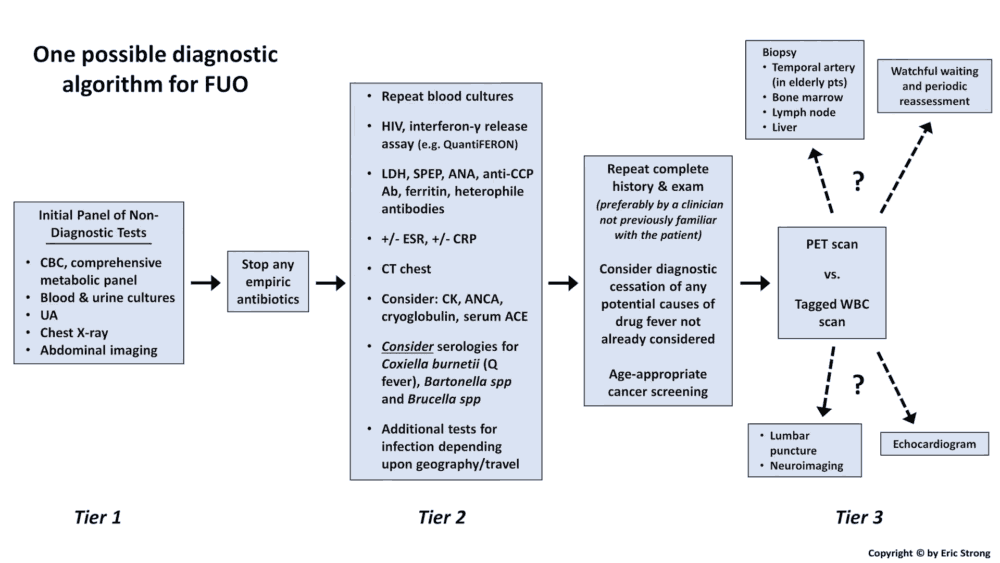 Diagnostic Algorithm for Fever of Unknown Origin (FUO)