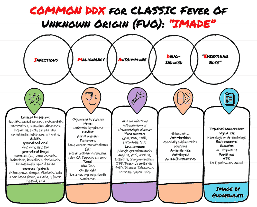 Causes and Differential Diagnosis of Fever of Unknown Origin (FUO)