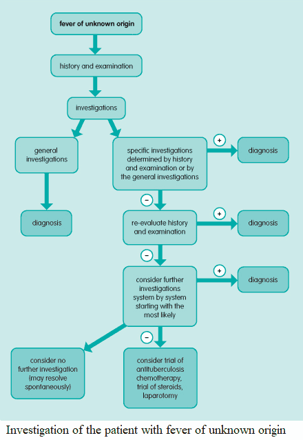 Investigation of the patient with fever of unknown origin (FUO)