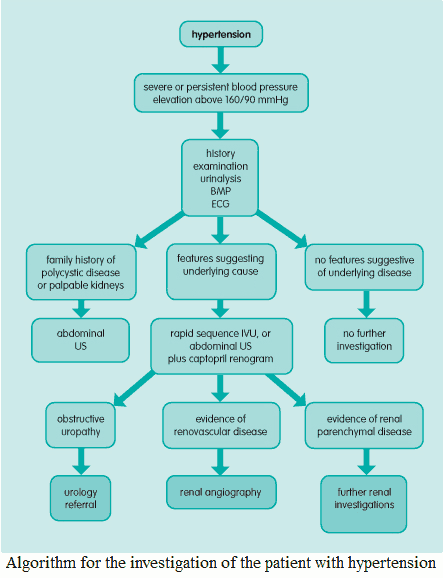 Algorithm for the investigation of the patient with hypertension