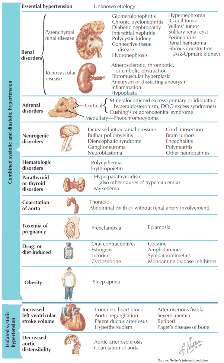 Causes of Arterial Hypertension