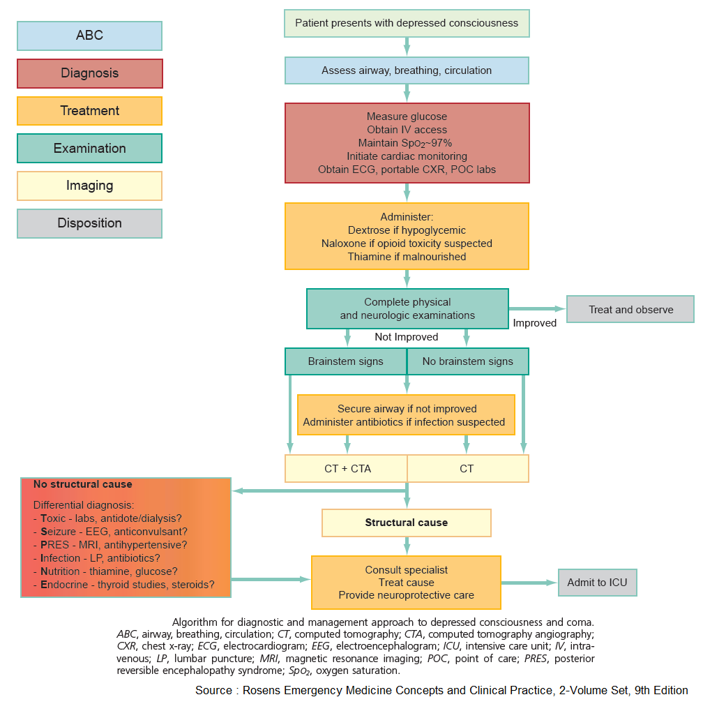 Algorithm for diagnostic and management approach to depressed consciousness and coma