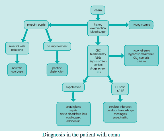 Diagnosis in the patient with coma