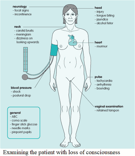 Examining the patient with loss of consciousness (syncope and coma)