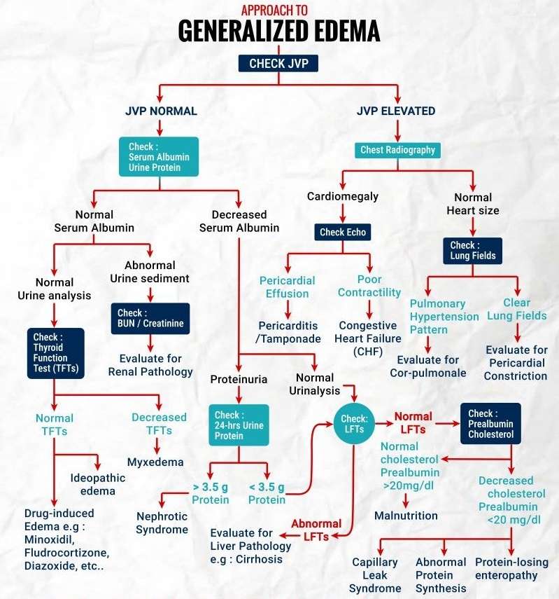 Read more about the article Generalized and Localized Edema: A Clinical Breakdown