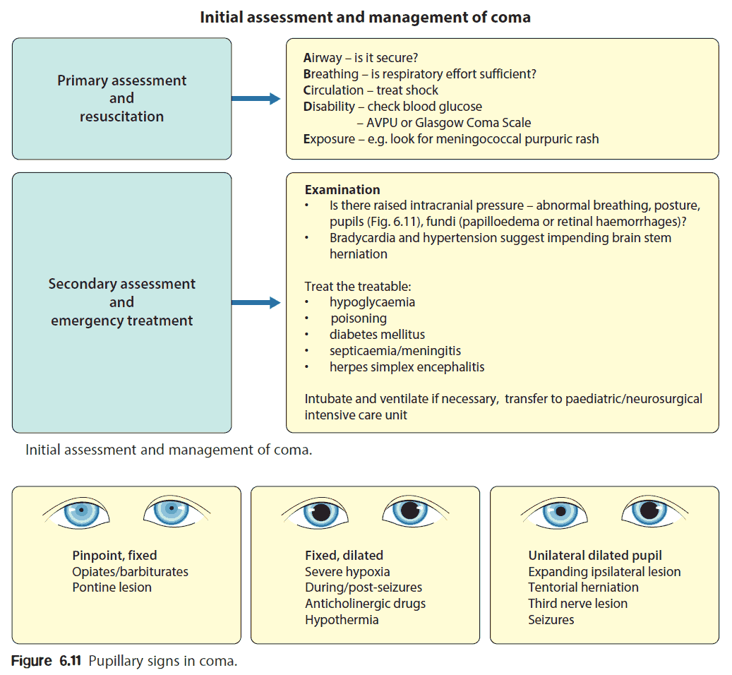 Initial assessment and management of coma