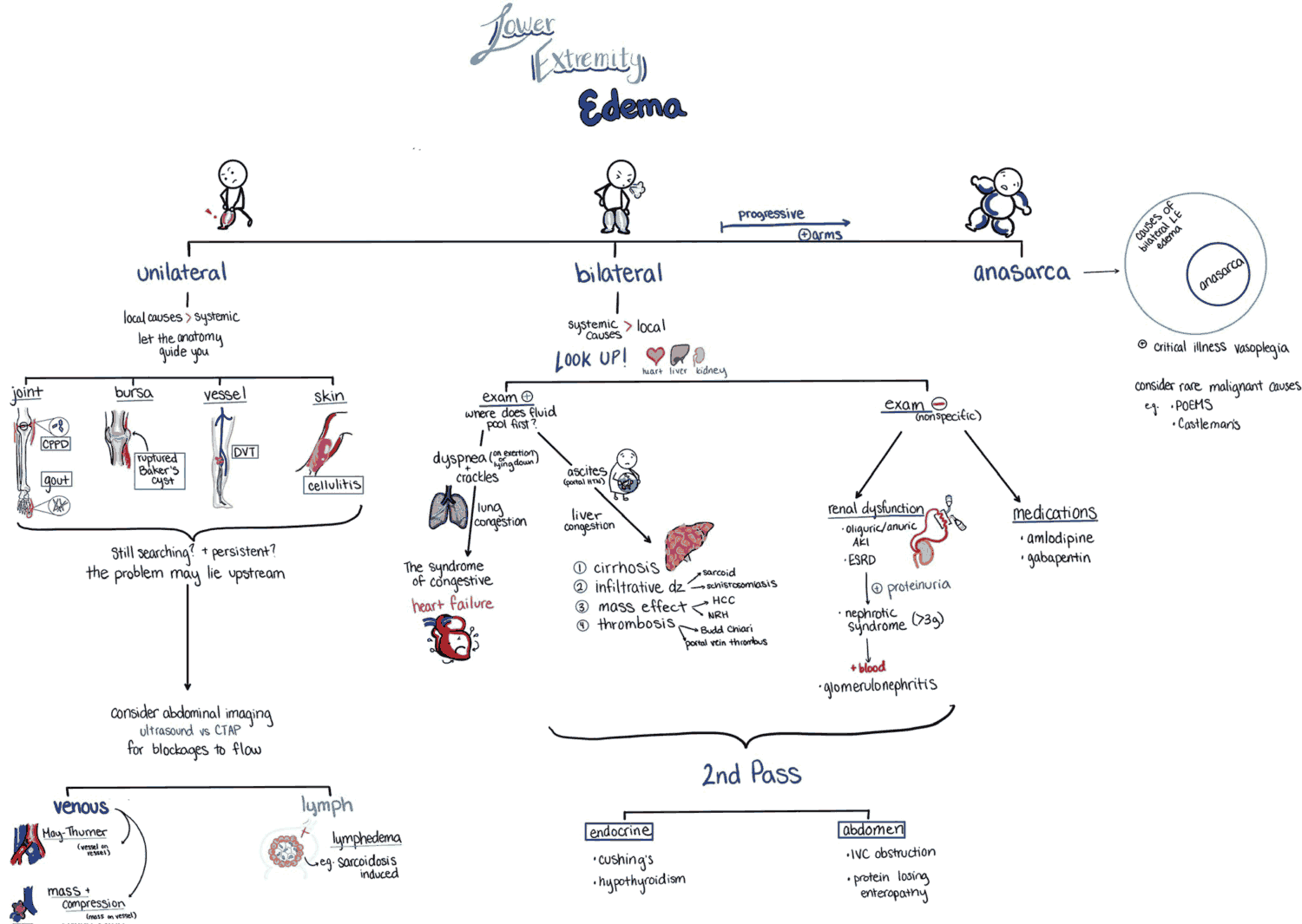 Lower Extremity (Limb) Edema - Causes and Differential Diagnosis