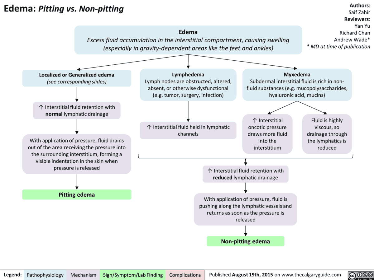 Pathophysiology of Pitting vs Non-pitting Edema