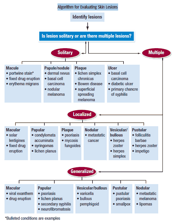 Algorithm for Evaluating Skin Lesions and Rashes