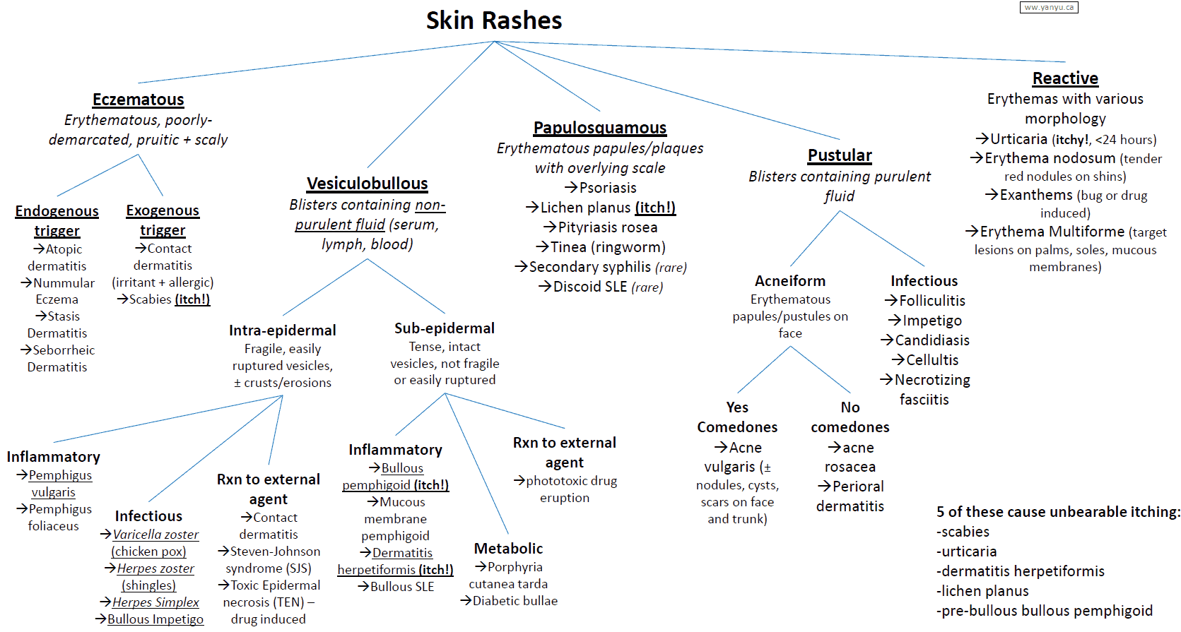 Overview (Summary) of Skin Rashes