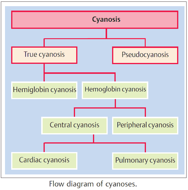 Flow diagram of cyanosis