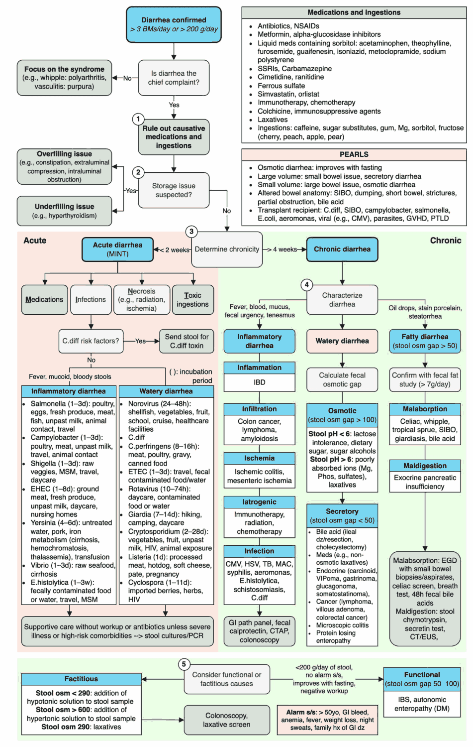 Approach to Diarrhea - Differential Diagnosis and Workup Algorithm
