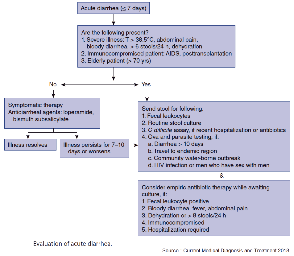 Evaluation of acute diarrhea
