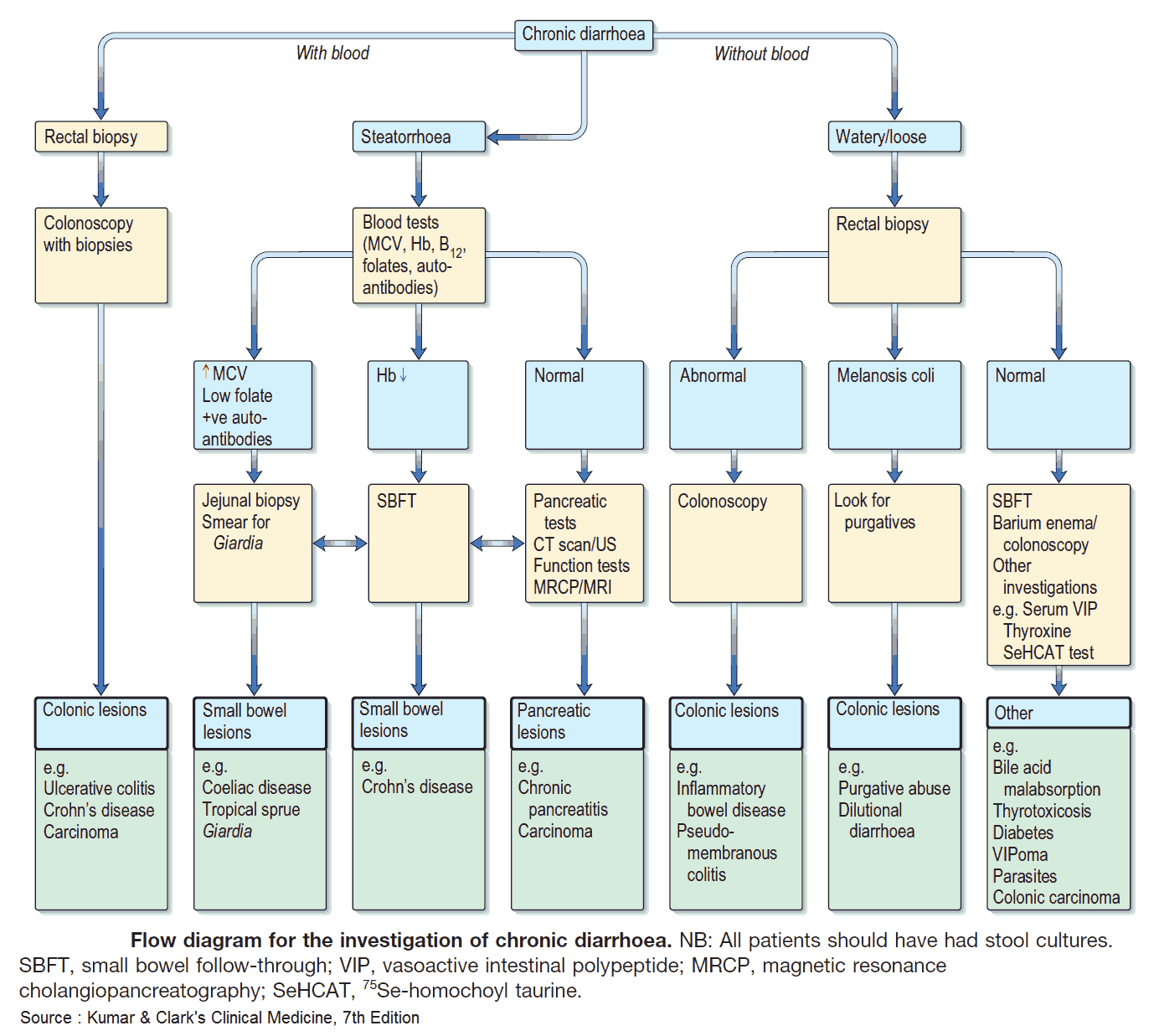 Flow diagram for the investigation and diagnosis of chronic diarrhea