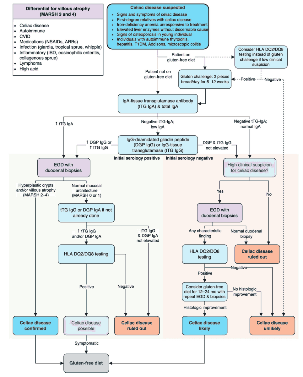 Algorithm for Diagnosis of Celiac Disease