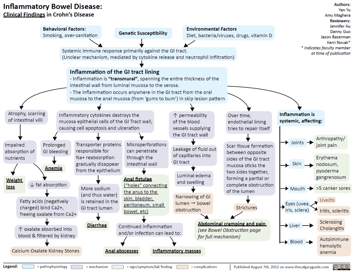 Clinical Findings in Crohn’s Disease