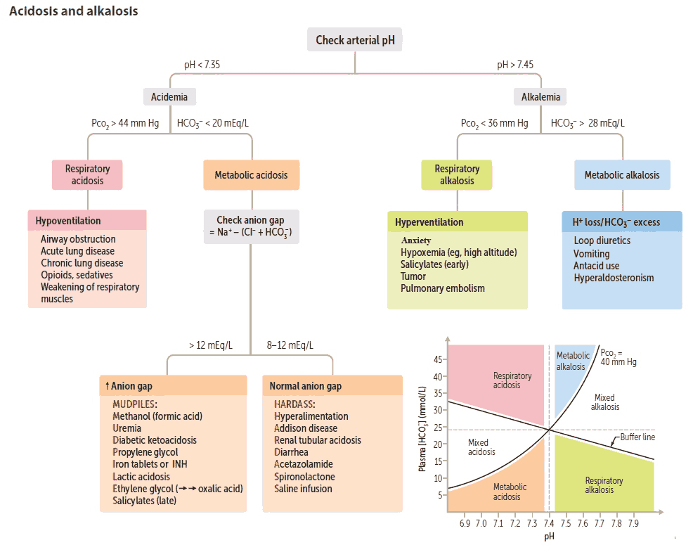 Acidosis and alkalosis - Causes and Differential Diagnosis