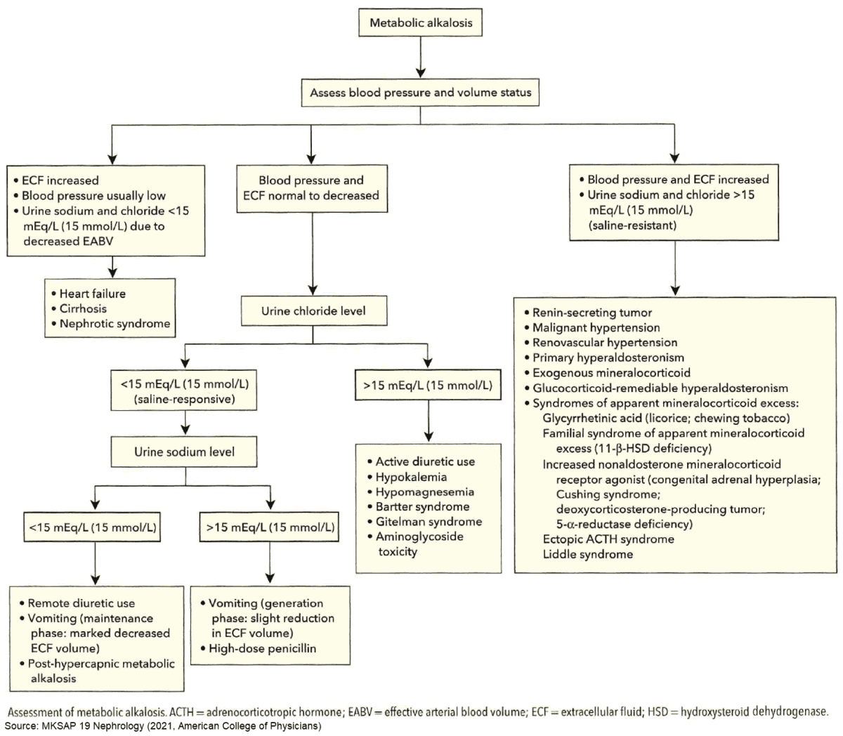 Assessment of Metabolic Alkalosis