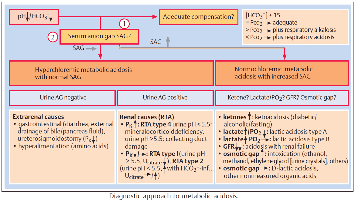 Diagnostic approach to metabolic acidosis