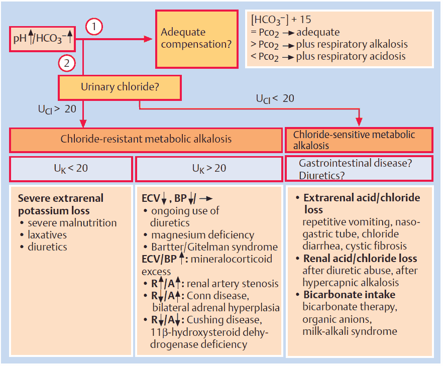 Diagnostic approach to metabolic alkalosis