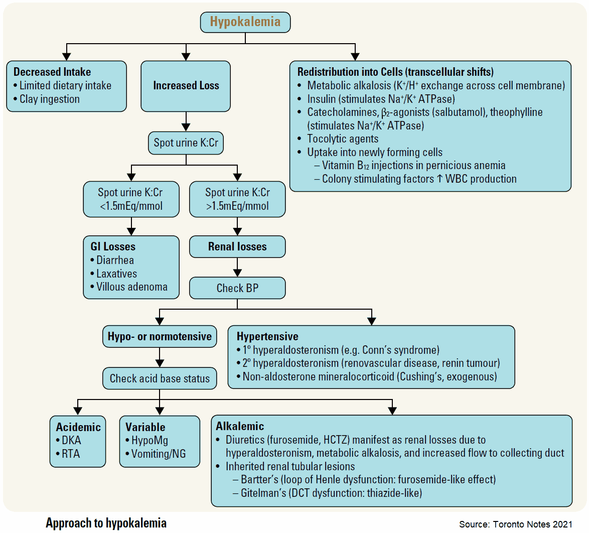 Approach to Hypokalemia