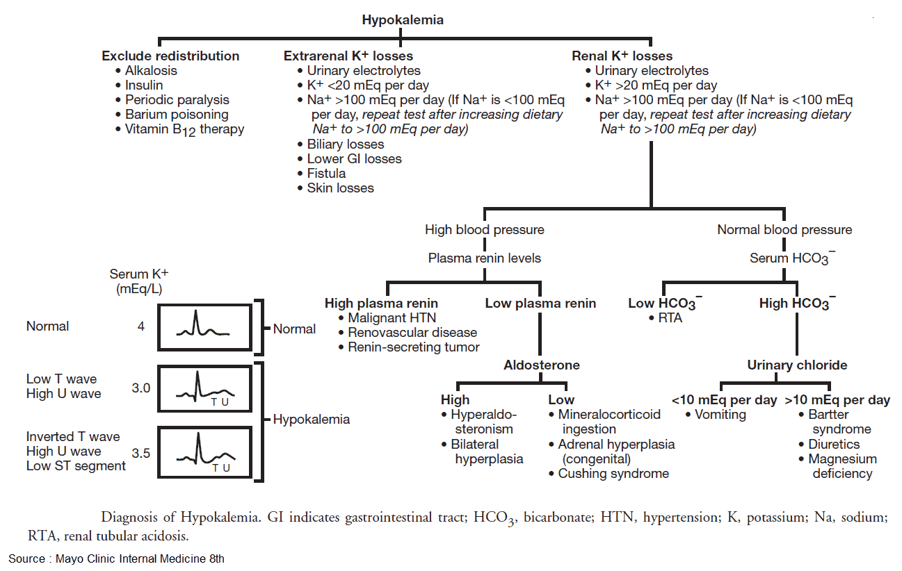 Diagnosis of Hypokalemia
