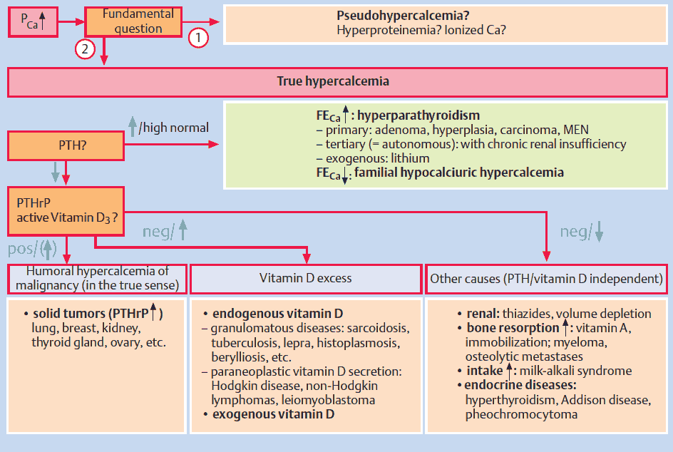 Diagnostic approach to hypercalcemia
