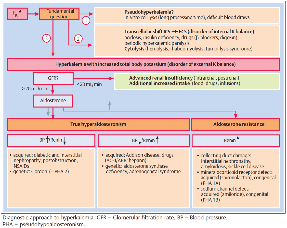 Diagnostic approach to hyperkalemia