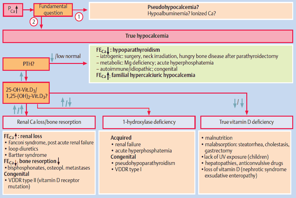 Diagnostic approach to hypocalcemia