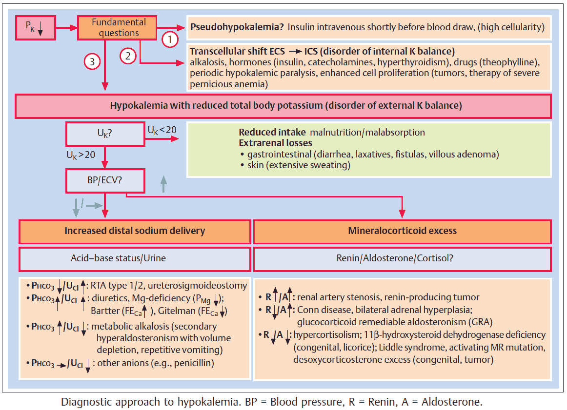 Diagnostic approach to hypokalemia