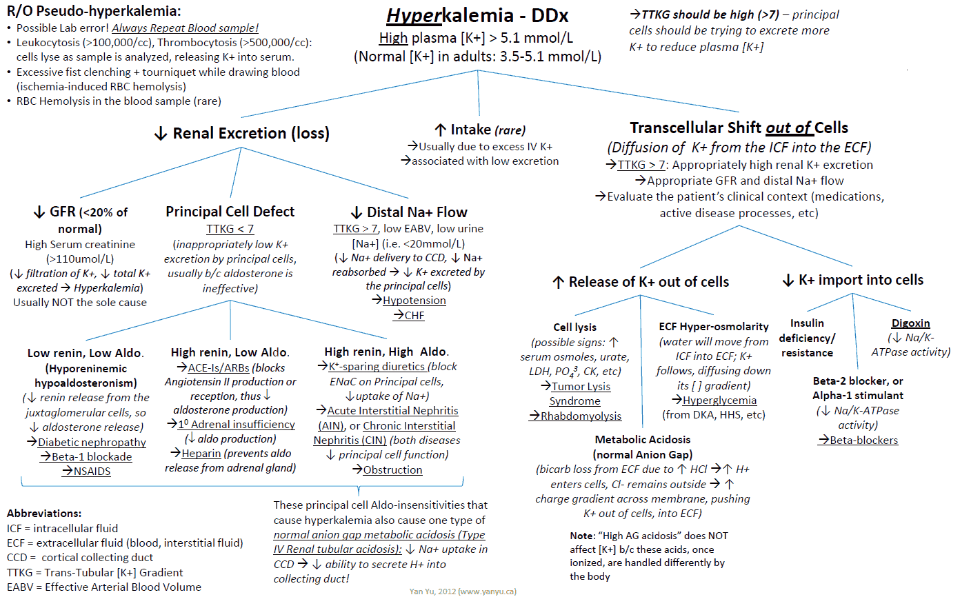 Hyperkalemia Differential Diagnosis